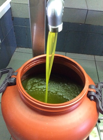 βραβευμένο ελληνικό ελαιόλαδο, olives oil halkidiki